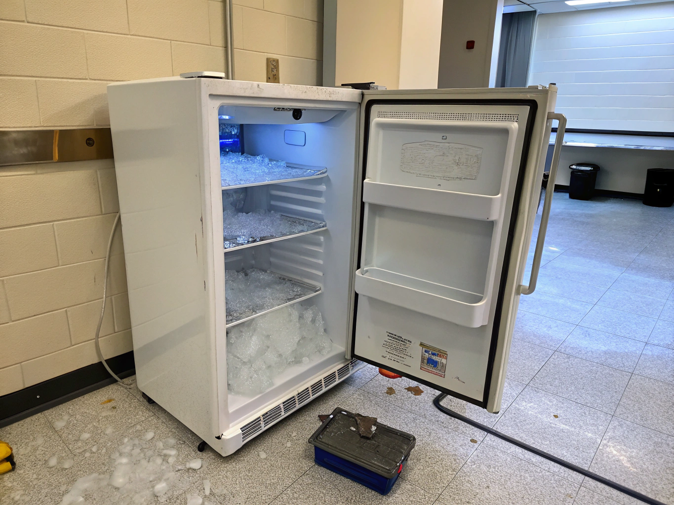 Frost covered interior freezer evaporator coils needing professional defrost